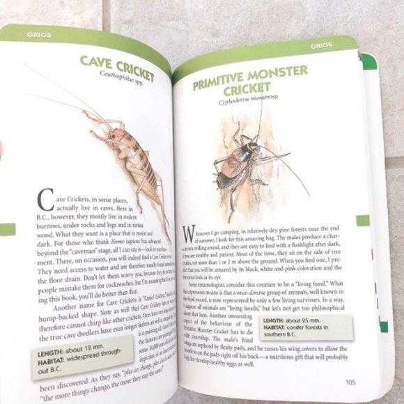 Bugs of British Columbia Book - Picture 2 of 2